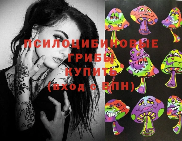 гидропоника Верея