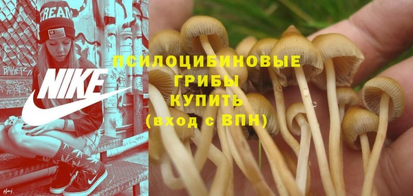 гидропоника Верея