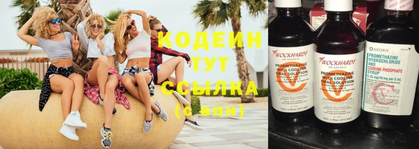 ешки Сосновый Бор