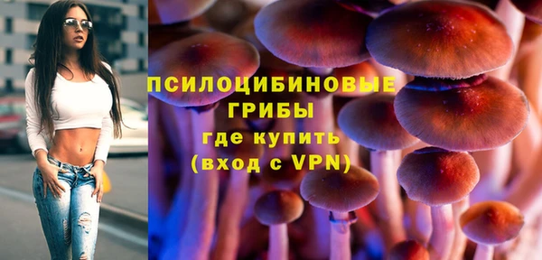 гидропоника Верея